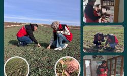 Çalışmalar aralıksız devam ediyor