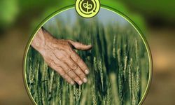 Başvuruları için son gün 31 Aralık!