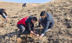 Akçakent’te yeni bir nefes: Köy arazisi fidanlarla buluştu