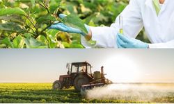 B-Reçete sistemi başlıyor