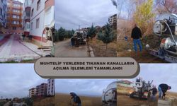 Çiçekdağı’nda Belediye tüm noktalarda