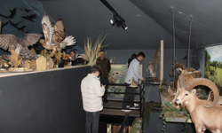 Kırşehir’de öğrencilere biyoçeşitlilik ve yaban hayatı anlatıldı