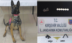 Jandarmanın takibi sonuç verdi