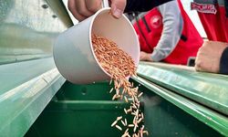 Kırşehir’de kuraklığa dayanıklı yerli tohumlar toprakla buluştu