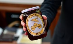 Kırşehir’in dağlarından tescilli sofralara