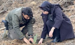 Kırşehirli gençlerin Aydın’da umudu yeşerten yolculuğu