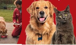 Kırşehir'de can dostlar unutulmadı