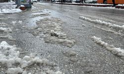 Kar yağışı bereket getirdi: Eriyen kar suları toprağı doyurdu