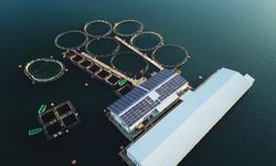 TKDK’dan Kırşehir’e 74,5 Milyon TL Hibe Desteği!