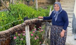 Kıymet Akkuyu, hayatını kaybetti