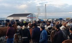 Gözler Fiyatlarda, Eller Tokalaşmada