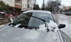 Faydalı mı Yoksa Masraf mı Çıkarıyor?