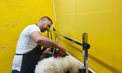 Kırşehir’in ilk ve tek Pet Kuaförü 2 yıldır hizmette