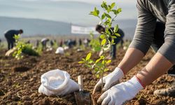Başköy küllerinden yeniden doğuyor
