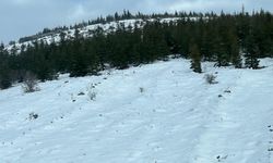 Kervansaray Dağları'nda kar görüntüsü büyülüyor