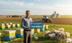 Destekleme ödemeleri bugün hesaplarda