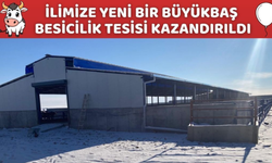 Kırşehir’e Yeni Büyükbaş Besicilik Tesisi Kuruldu