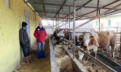 Kırşehir Tarım Müdürlüğü harekete geçti