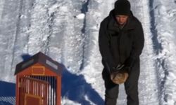 Kırşehir’de yaralı kızıl şahin doğaya yeniden kavuştu