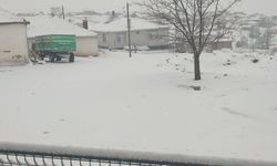 Kuruağıl Köyü karla beyaza büründü