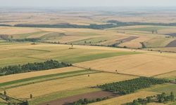 Mucur’da hazine taşınmazları satışa çıkıyor