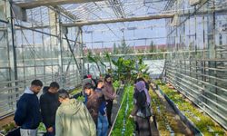 Öğrenciler akıllı tarım uygulamalarını yakından inceledi