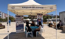 Kırşehir'de DABİS Tanıtım Standı Açıldı