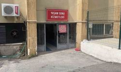 Komşuda kene acı bilançosu: Kırşehirliler dikkat!