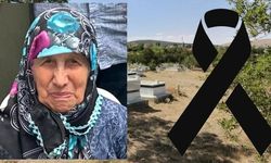 Hollanda’dan Kırşehir’e acı haber