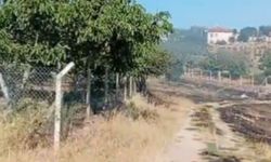 Kırşehir Kargın Yenice Köyü’nde Bahçelerde Zarar Oluştu