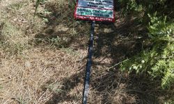 Kırşehir Seyfe Gölü’nde dikkat çeken olay: Tabelalar neden söküldü?