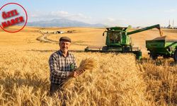 Kırşehir’de buğday üretiminde büyük fark