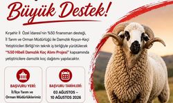 Kırşehir’de küçükbaş yetiştiricilerine yüzde 50 hibeli koç desteği başlıyor