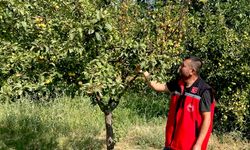 Kırşehir’de tarımsal üretimde denetimler sıklaştırıldı