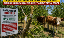 Ömerhacılı’da Ceviz Bahçesi Alarmı! Vakıf Yönetiminden Sert Tepki