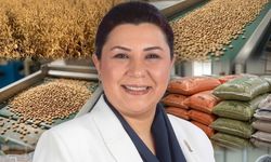 Seher Ünsal: Kırşehir’de yeşil mercimek üretimi yeniden ivme kazanacak”