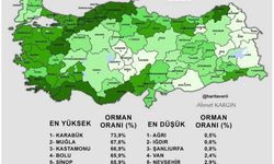 Kırşehir En Az Orman Varlığına Sahip İller Arasında!
