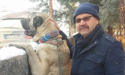 Kırşehirli Öğretmen Üzeyir Tavus Hayatını Kaybetti