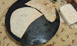 Bahçelerden sofralara, hem şifa hem geçim kapısı oldu!