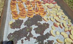 Güneşte kurutma sezonu devam ediyor