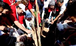 81 ilin toprağı Kırşehir’de buluştu