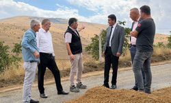 Karıncalı Yolu Yenileniyor!