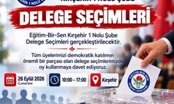 Delege Seçimleri Yarın Yapılacak!