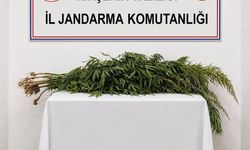 Kırşehir’de iki adrese operasyon