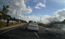 Yol ortasında yaralı eşek böyle görüntülendi