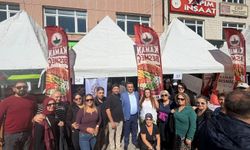 Kırşehirliler Vakfı Kaman Ceviz Festivali'nde