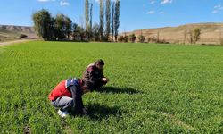 Ekipler sahada kuş uçurtmuyor