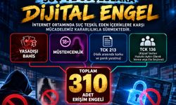 310 İnternet Adresine Erişim Engeli