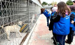 Gençler, barınaktaki can dostlarını yalnız bırakmadı