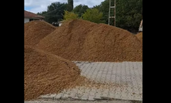 Avanoğlu Köy İçi Yolları Asfaltlanıyor